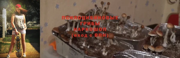 метадон Братск